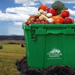 green bean delivery bin