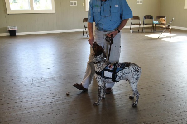 Saving Grace K9's veteran training with dog