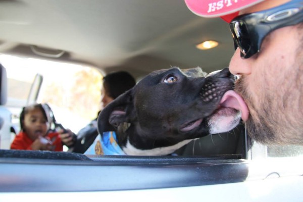Saving Grace K9's service dog shows love