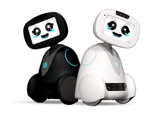 buddy companion robot