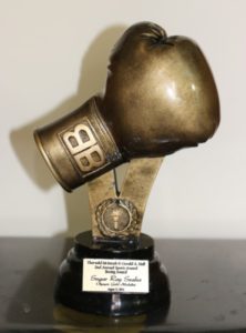 golden boxing glove award 