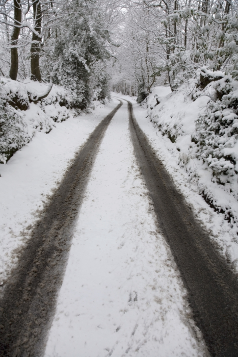 Scenic winter landscape