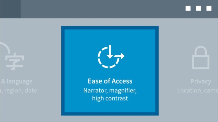 Ease of access button