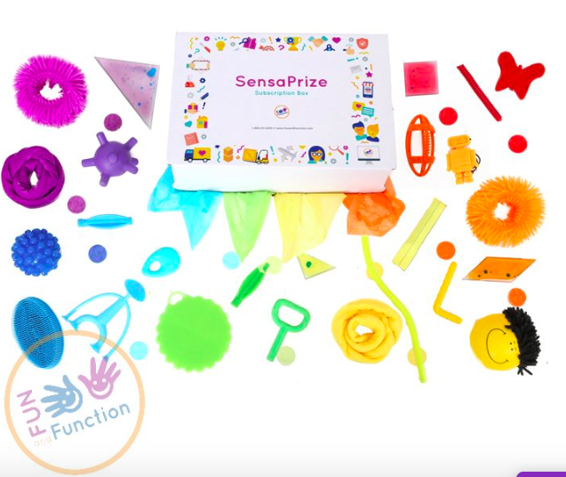 sensaprize subscription box by fun and function