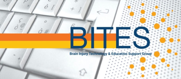 Brain Injury Technology & Education Support Group