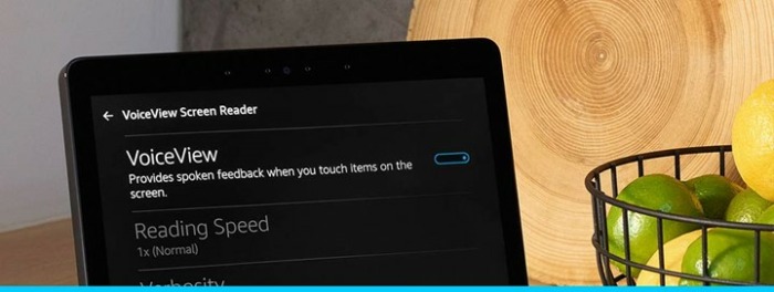 Echo Show VoiceView feature