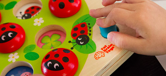 ladybug's garden memory game image