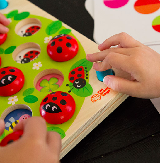 ladybug's garden memory game image