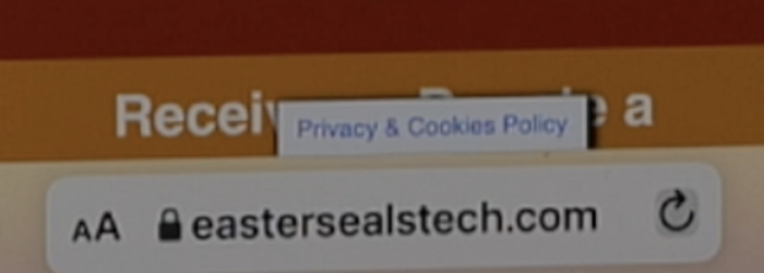 Screenshot of Safari address bar