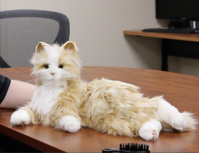 Joy for All Robotic Cat sitting on a table