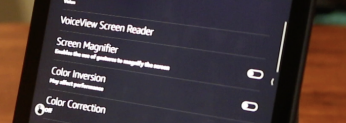 screen shot of VoiceView Screen Reader setting in accessibility features on Echo Show
