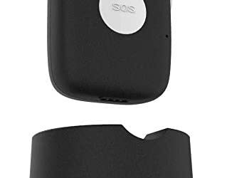 skyangelcare fall detection device alexa compatible