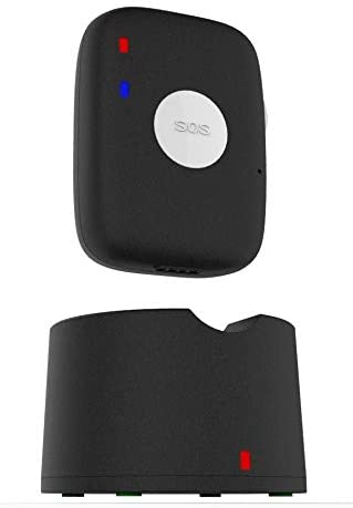 skyangelcare fall detection device alexa compatible