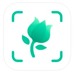 picturethis plant identifier app logo