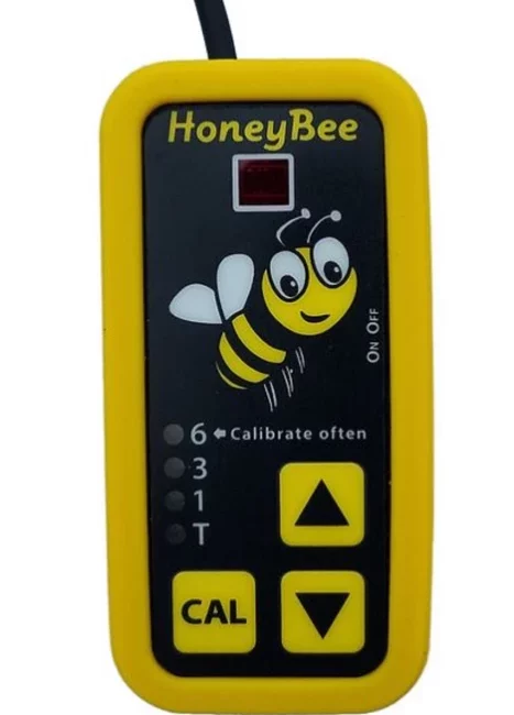 HoneyBee switch example