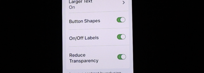 screenshot of iPhone in the Display & Text Size settings