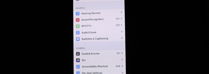 screeshot of iPhone on screen in accessibility features