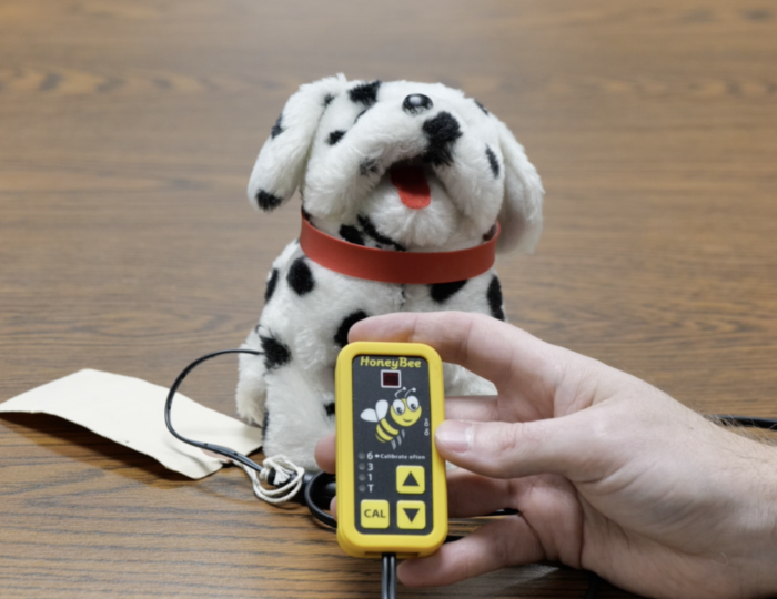 HoneyBee switch attached to a robotic dalamation dog