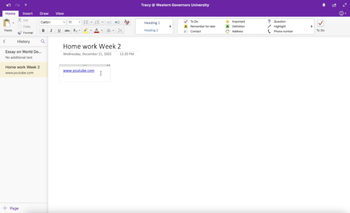 Screen shot of Tracy Castillo's OneNote