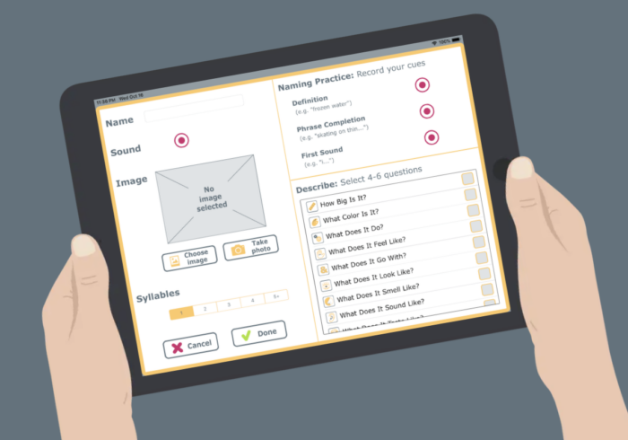 naming therapy app example