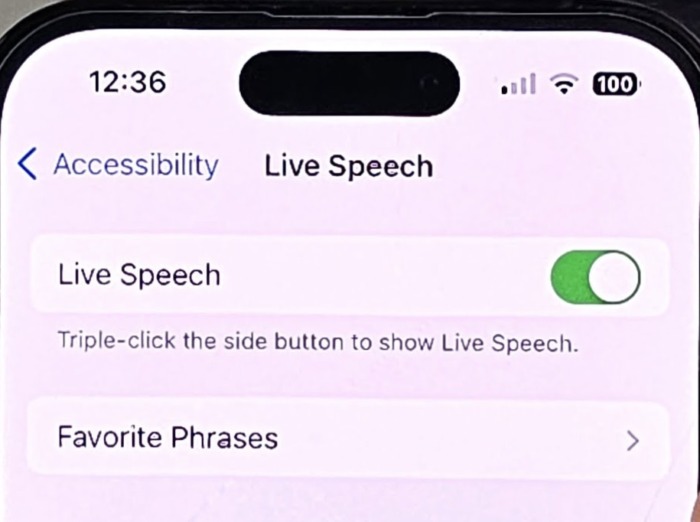 screenshot of iOS Live Speech setting