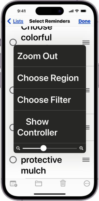 Zoom, an iOS accessibility feature supporting vision needs