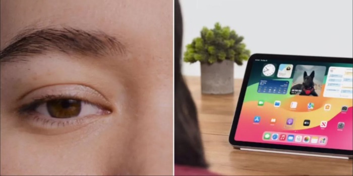 Apple Eye Tracking